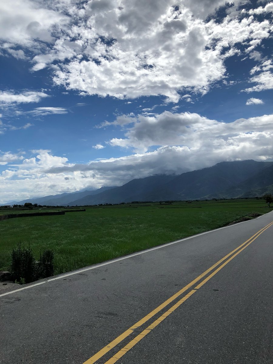 臺東池上錦新三號道路 伯朗大道 | 去趣 chicTrip