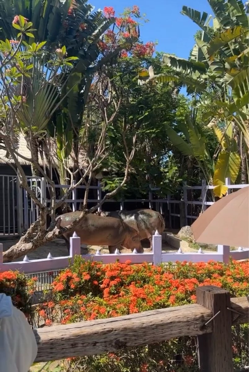 淨園農場 | 去趣 chicTrip