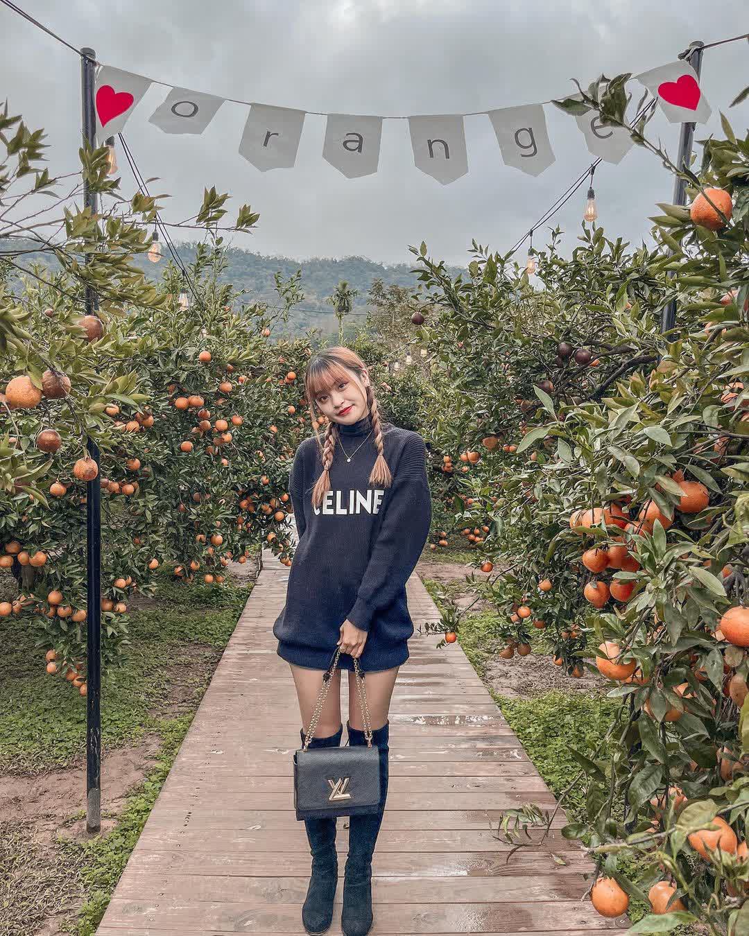 橙香森林 | 去趣 chicTrip