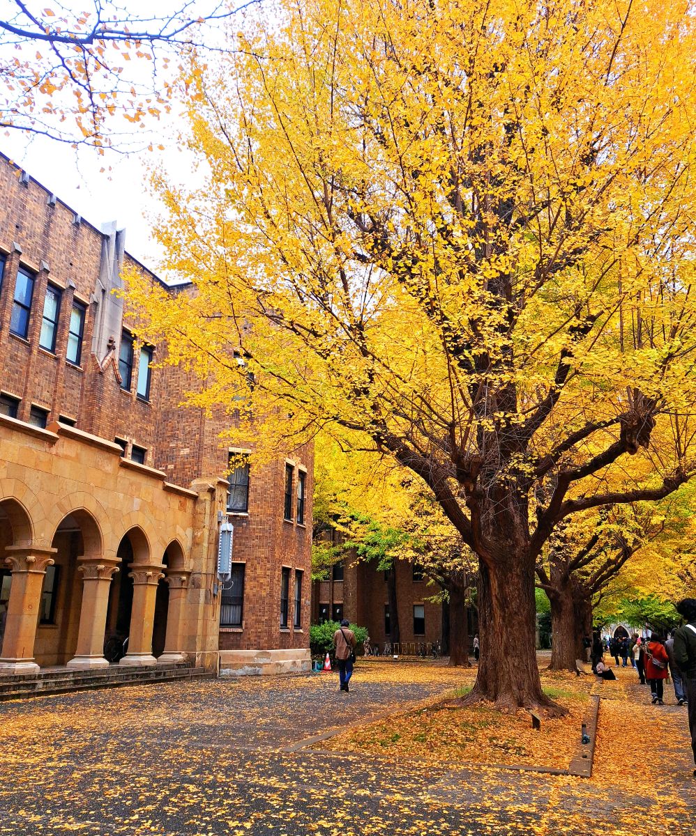 東京大學 | 去趣 chicTrip