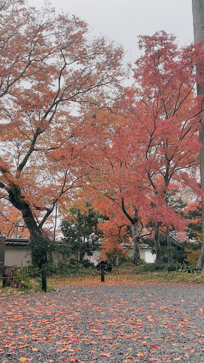 三千院 | 去趣 chicTrip