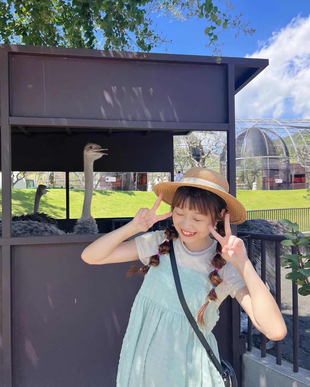 九九峰動物樂園 | 去趣 chicTrip