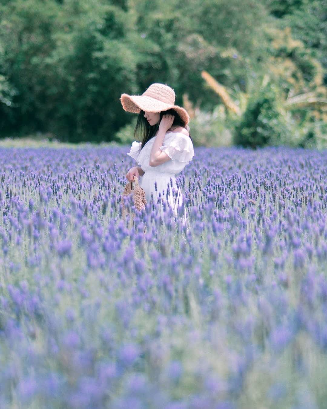 葛瑞絲香草田 | 去趣 chicTrip