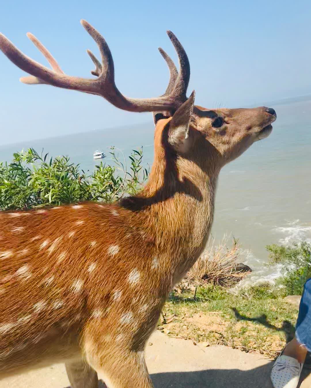 大坵島 | 去趣 chicTrip
