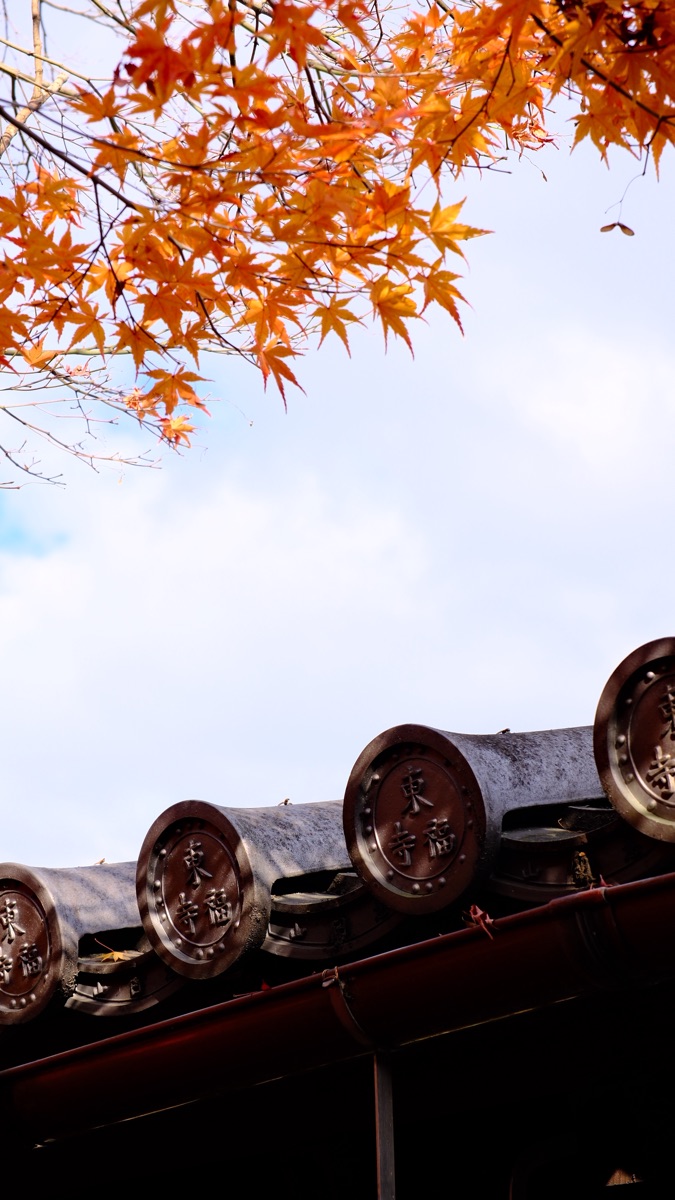 東福寺 | 去趣 chicTrip