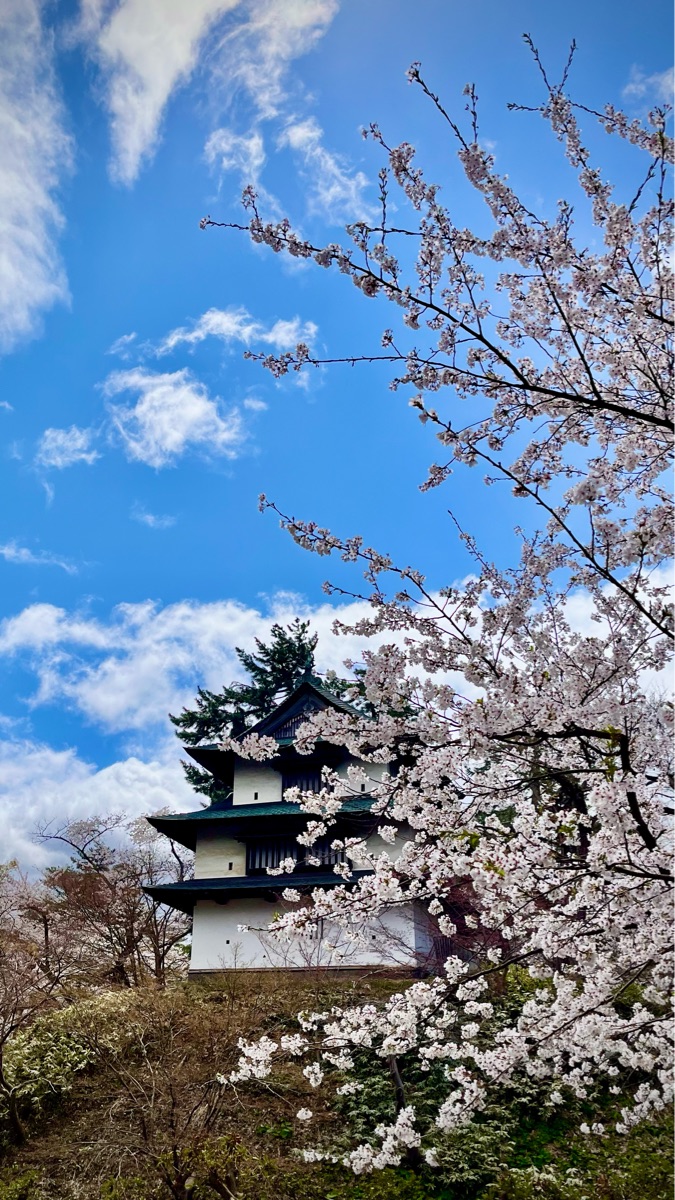 弘前城 | 去趣 chicTrip