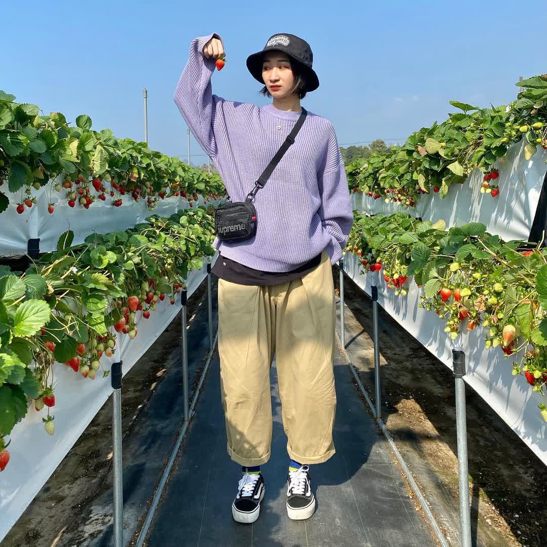 大湖草莓：六合高架牛奶草莓農場（歡迎使用LinePay支付） | 去趣 chicTrip