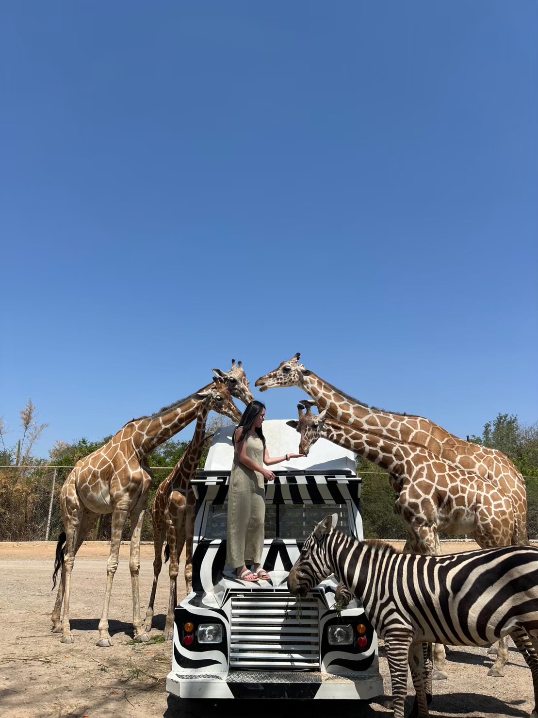 Safari Park Kanchanaburi | 去趣 chicTrip