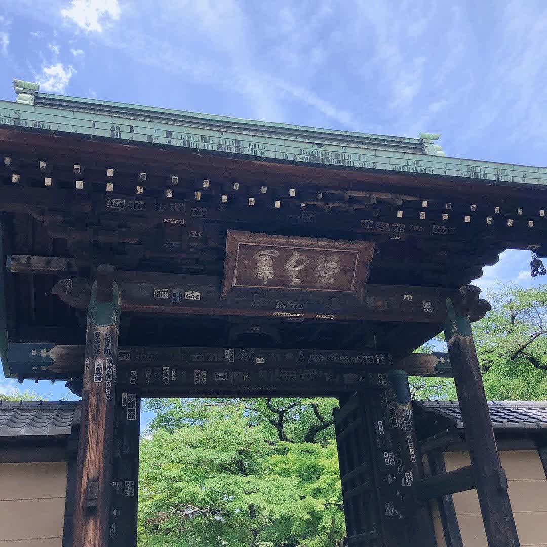 世田谷 豪德寺 | 去趣 chicTrip