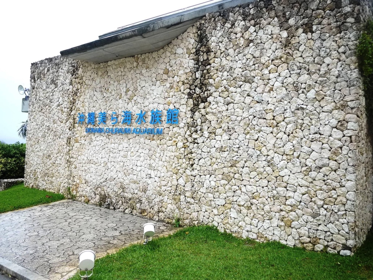 沖繩美麗海水族館 | 去趣 chicTrip