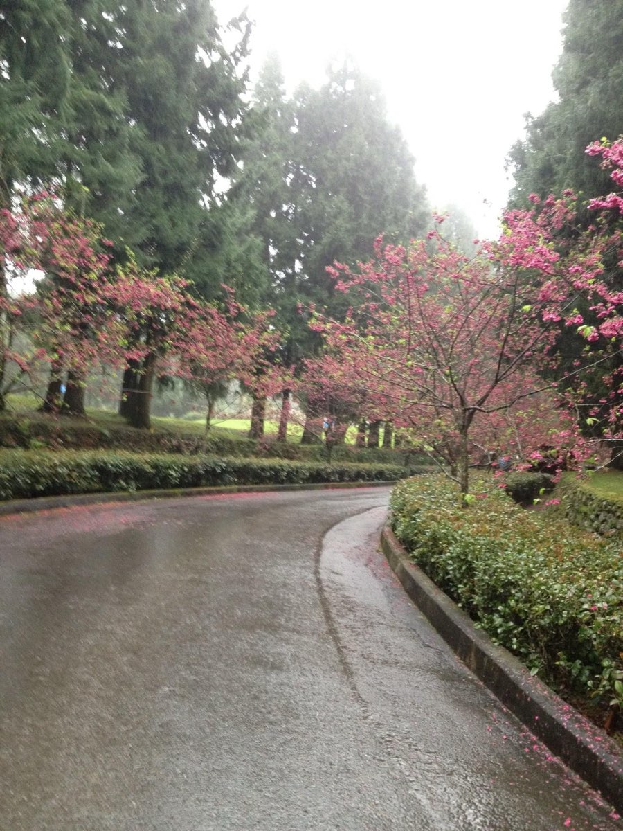 九族文化村 | 去趣 chicTrip