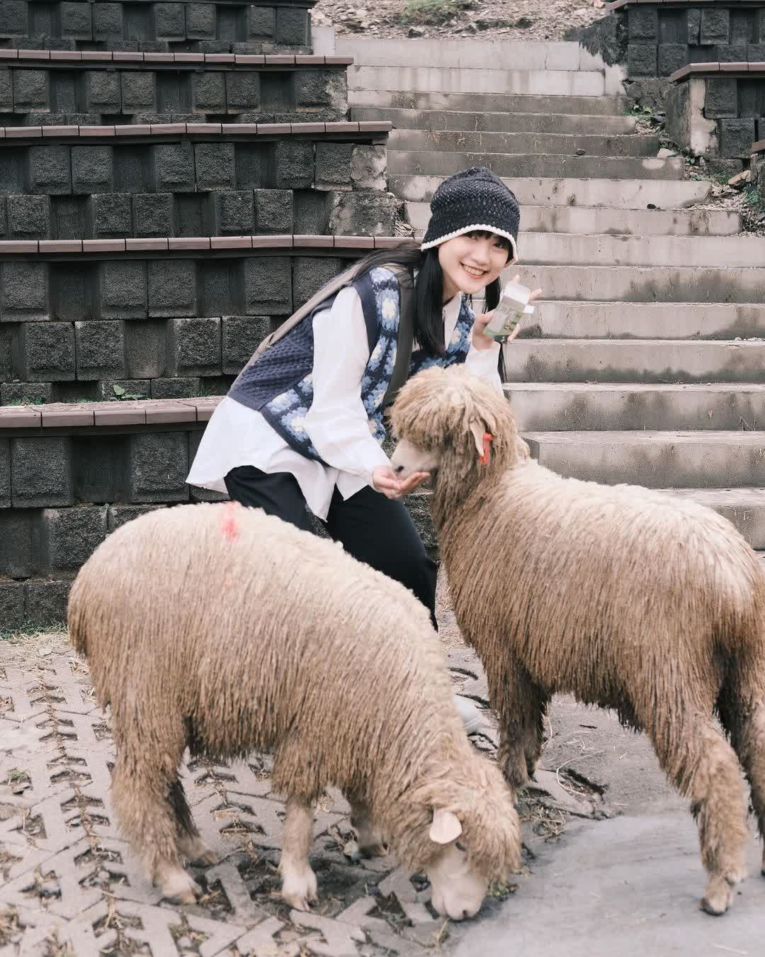 清境農場青青草原 | 去趣 chicTrip