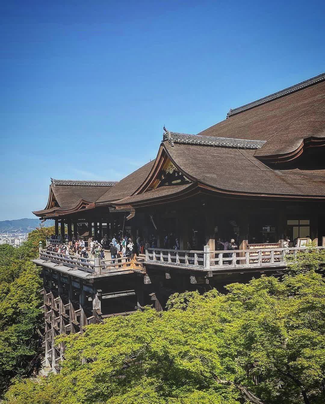 清水寺 | 去趣 chicTrip