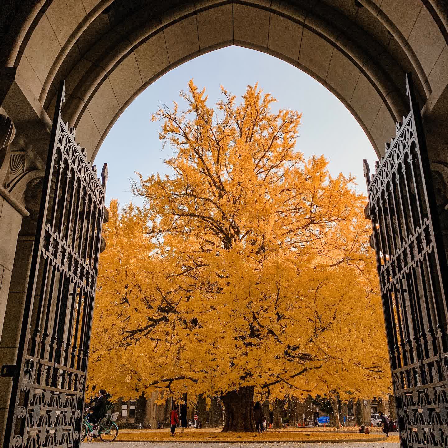 東京大學 | 去趣 chicTrip