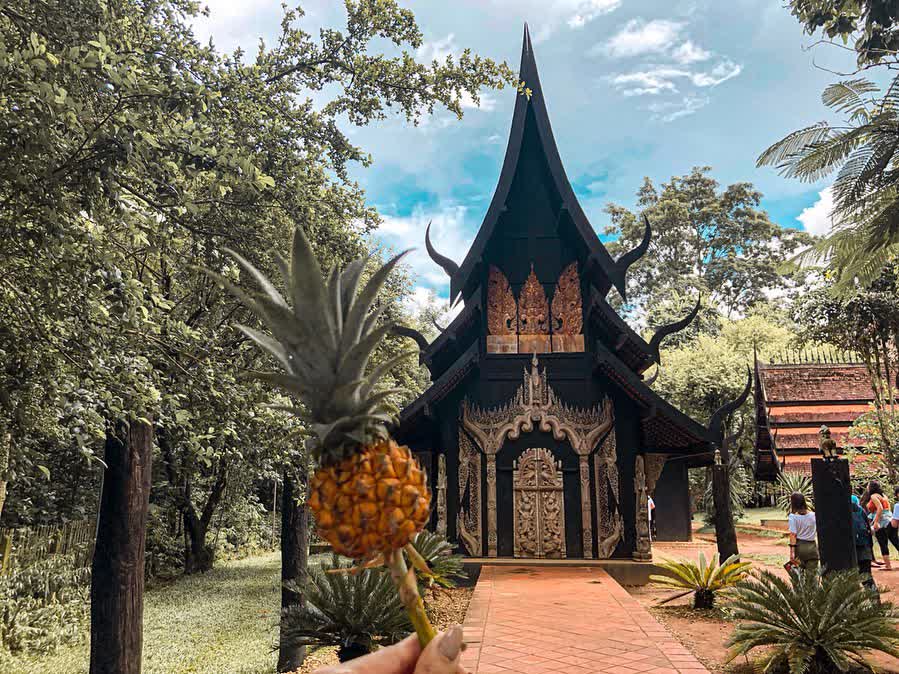 黑廟 黑屋博物館 (Baandam Museum) | 去趣 chicTrip