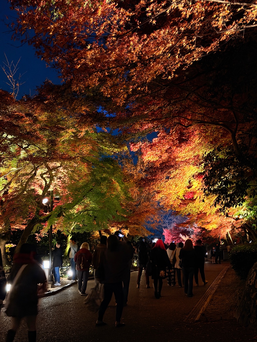 清水寺 | 去趣 chicTrip