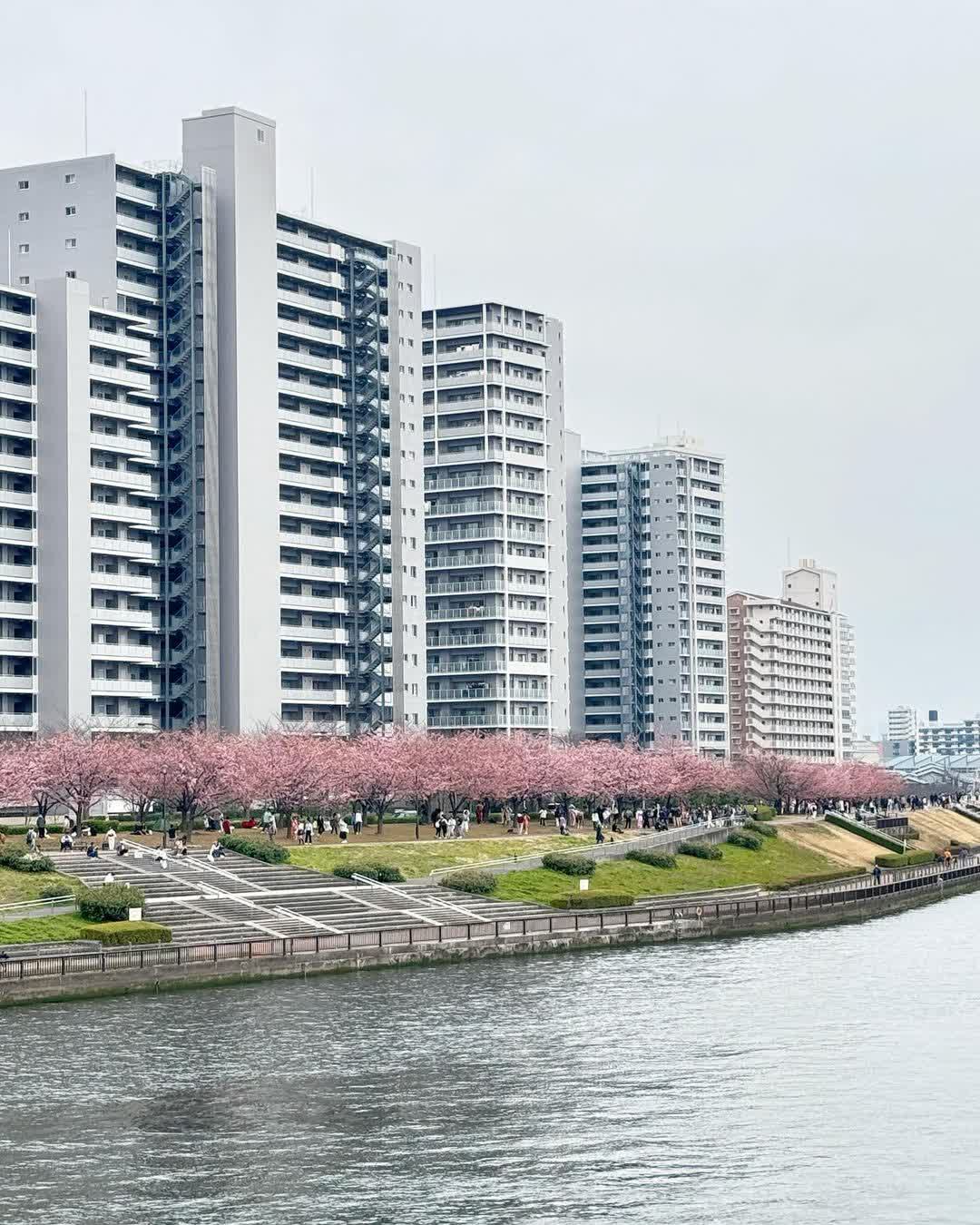 汐入公園 | 去趣 chicTrip