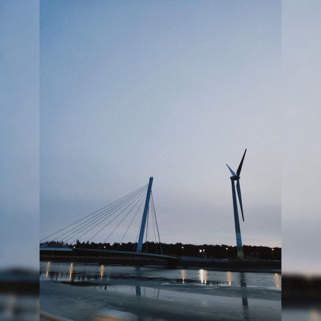 高美野生動物保護區 | 去趣 chicTrip