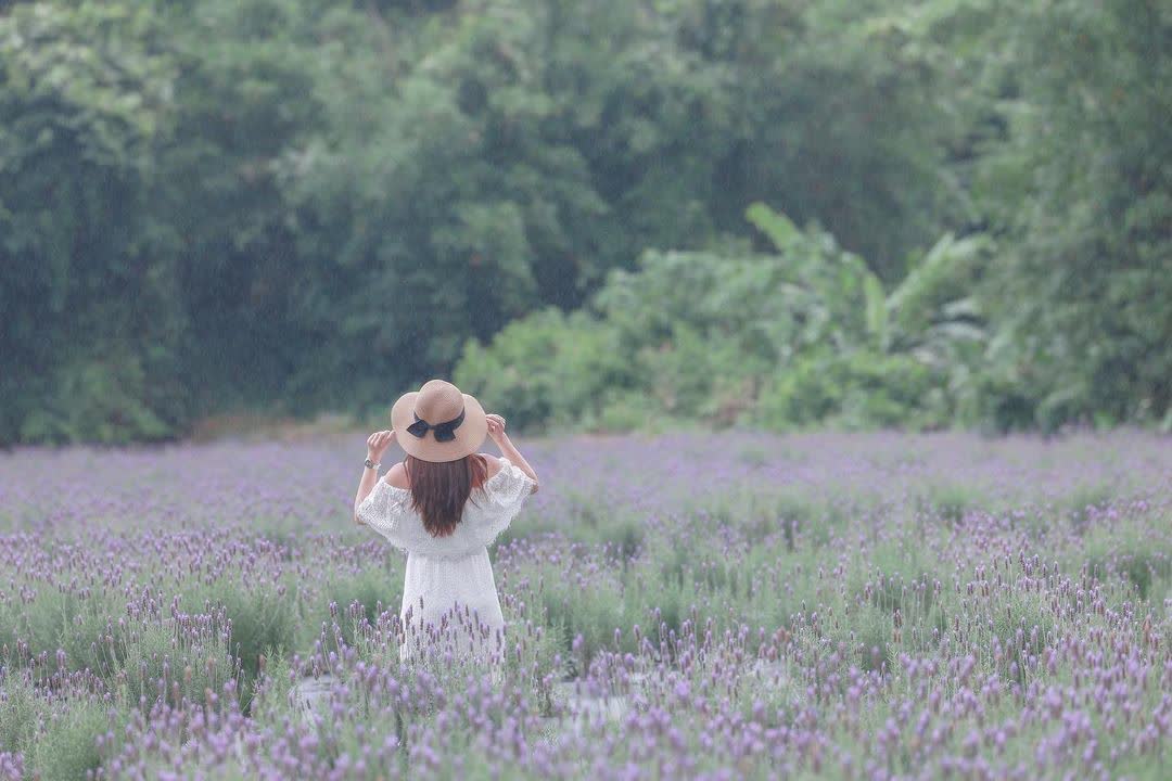 葛瑞絲香草田 | 去趣 chicTrip