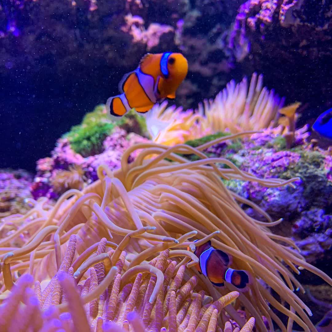 Xpark 水族館 | 去趣 chicTrip