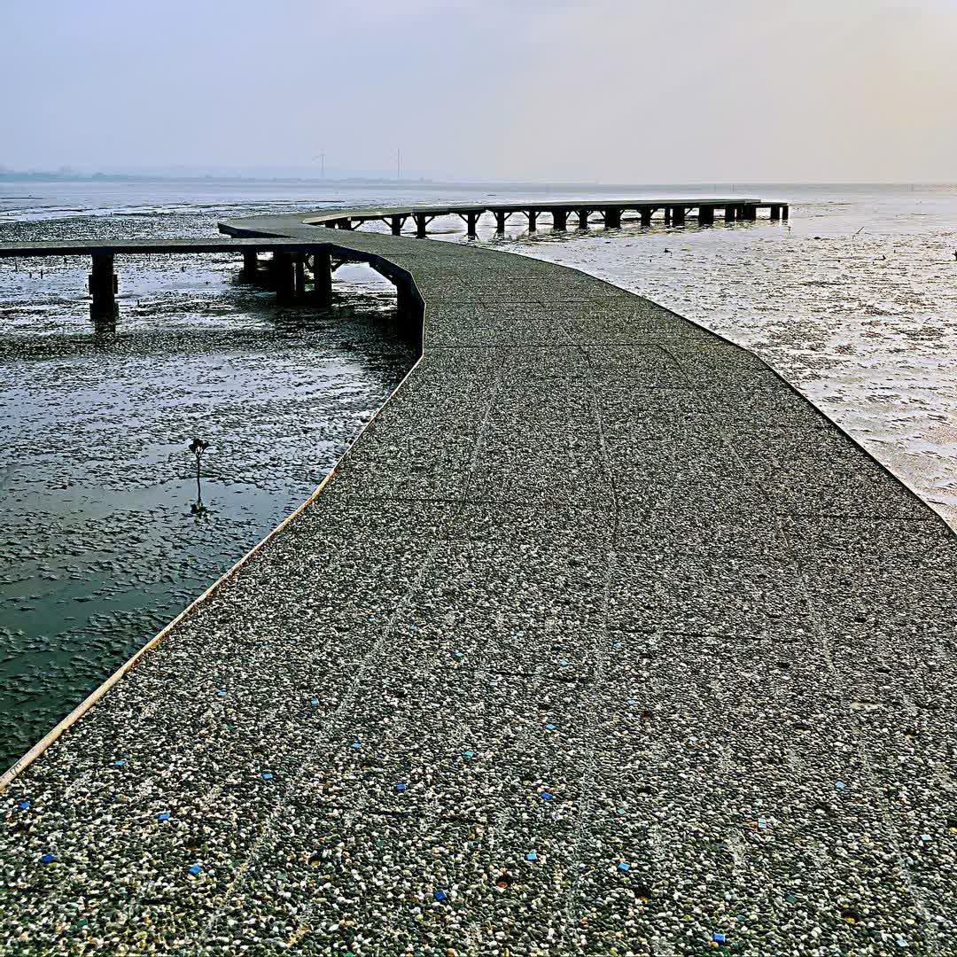 香山濕地賞蟹步道 | 去趣 chicTrip