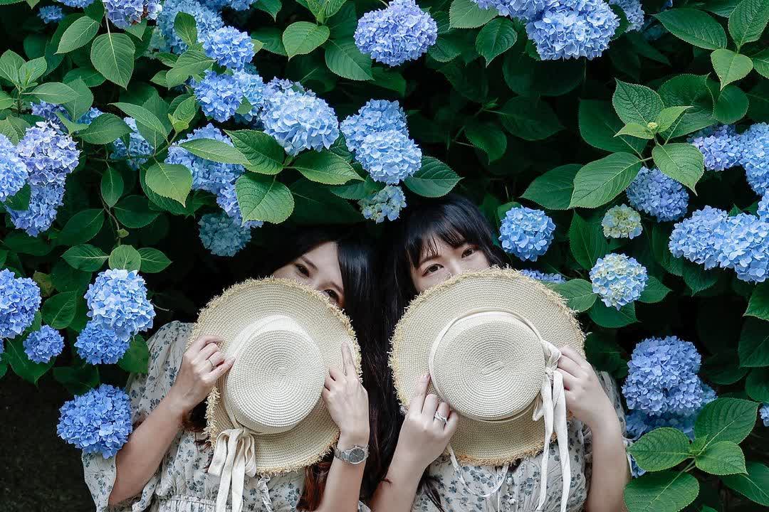 杉林溪森林生態渡假園區 | 去趣 chicTrip