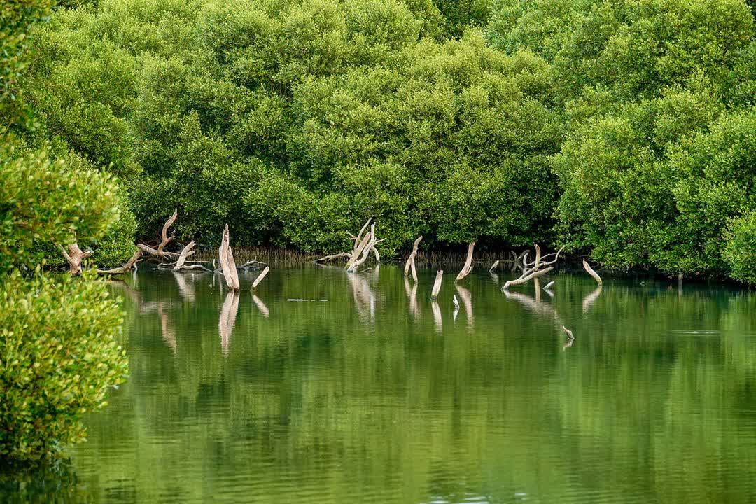 林園海洋溼地公園