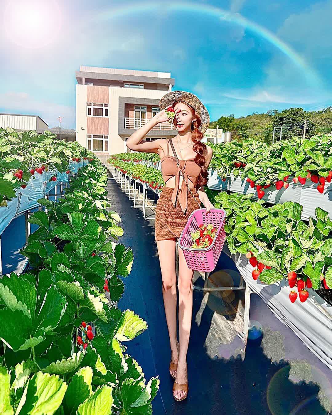 草莓文化館 | 去趣 chicTrip