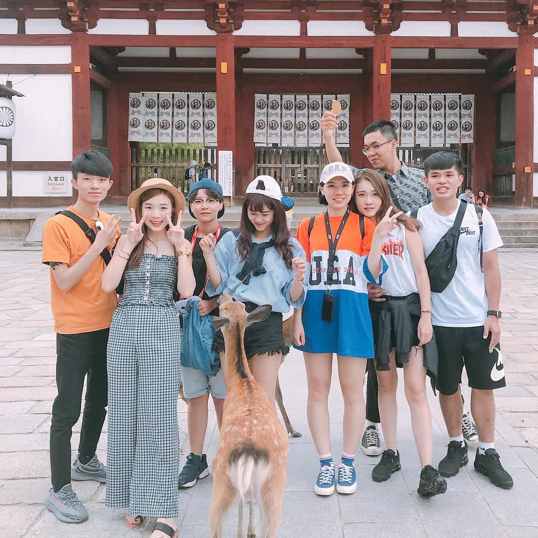 奈良公園 | 去趣 chicTrip