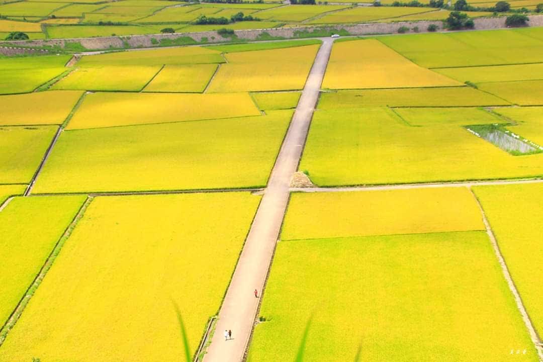 外埔忘憂谷 | 去趣 chicTrip