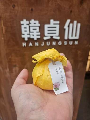 HAN JUNG SUN | 去趣 chicTrip