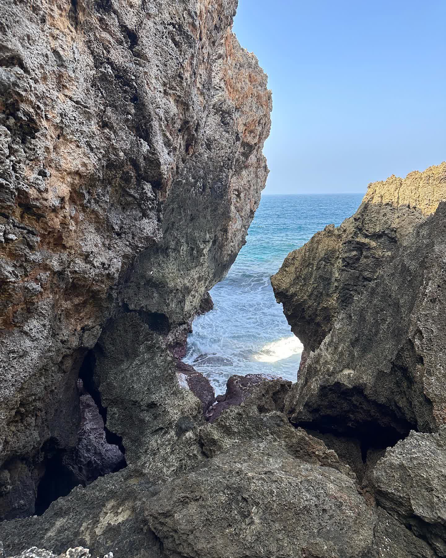 網美老木 | 去趣 chicTrip