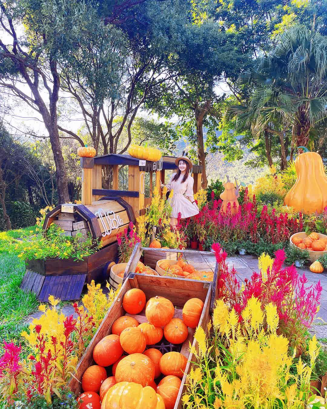 薰衣草森林新竹尖石店 | 去趣 chicTrip