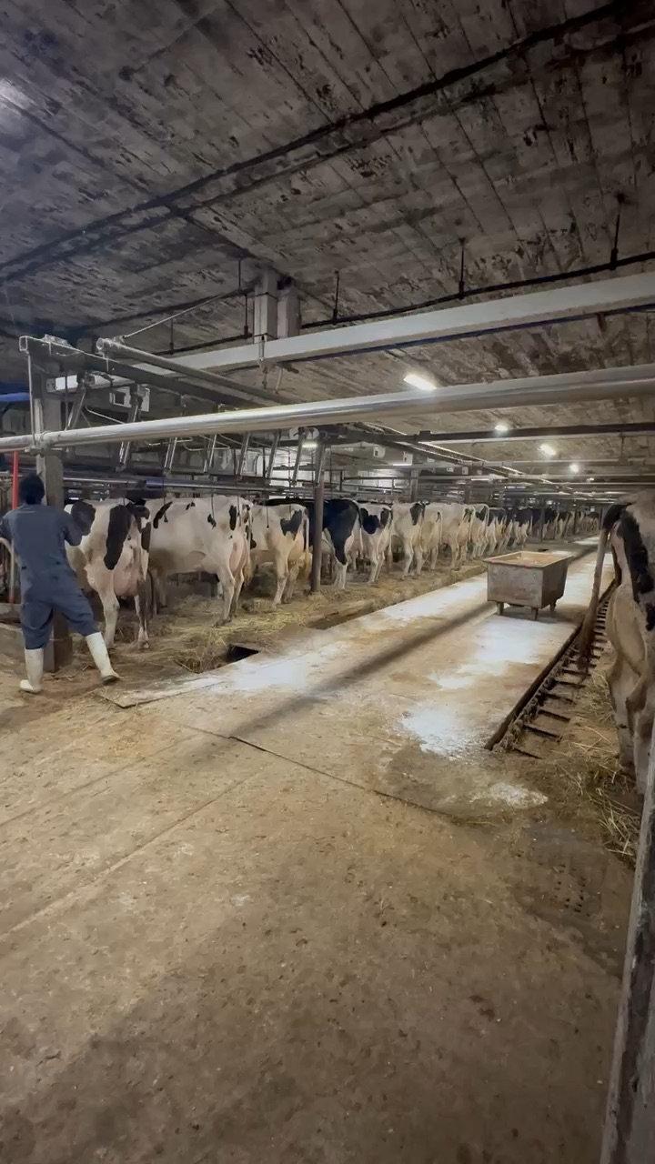 小岩井農場 | 去趣 chicTrip