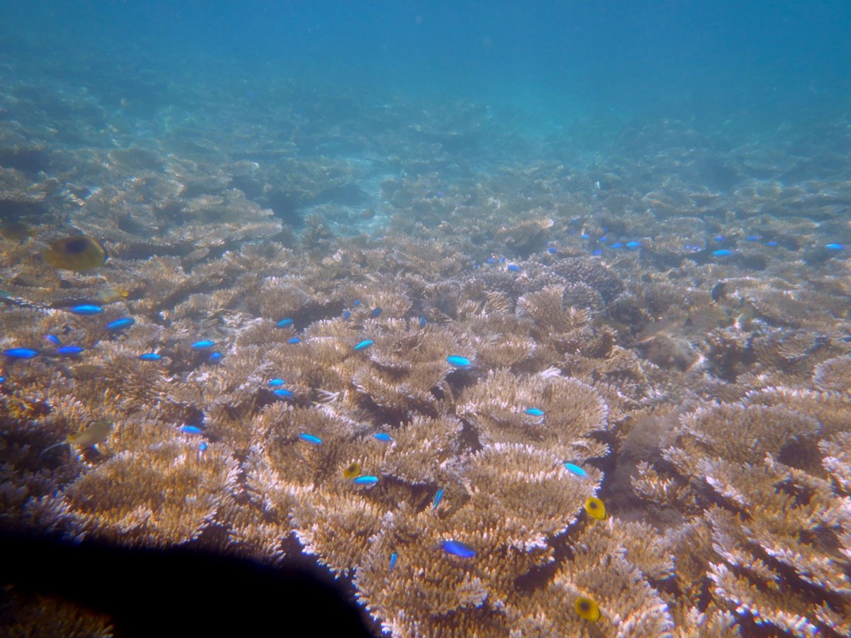 金瓜仔礁（忘憂島） | 去趣 chicTrip