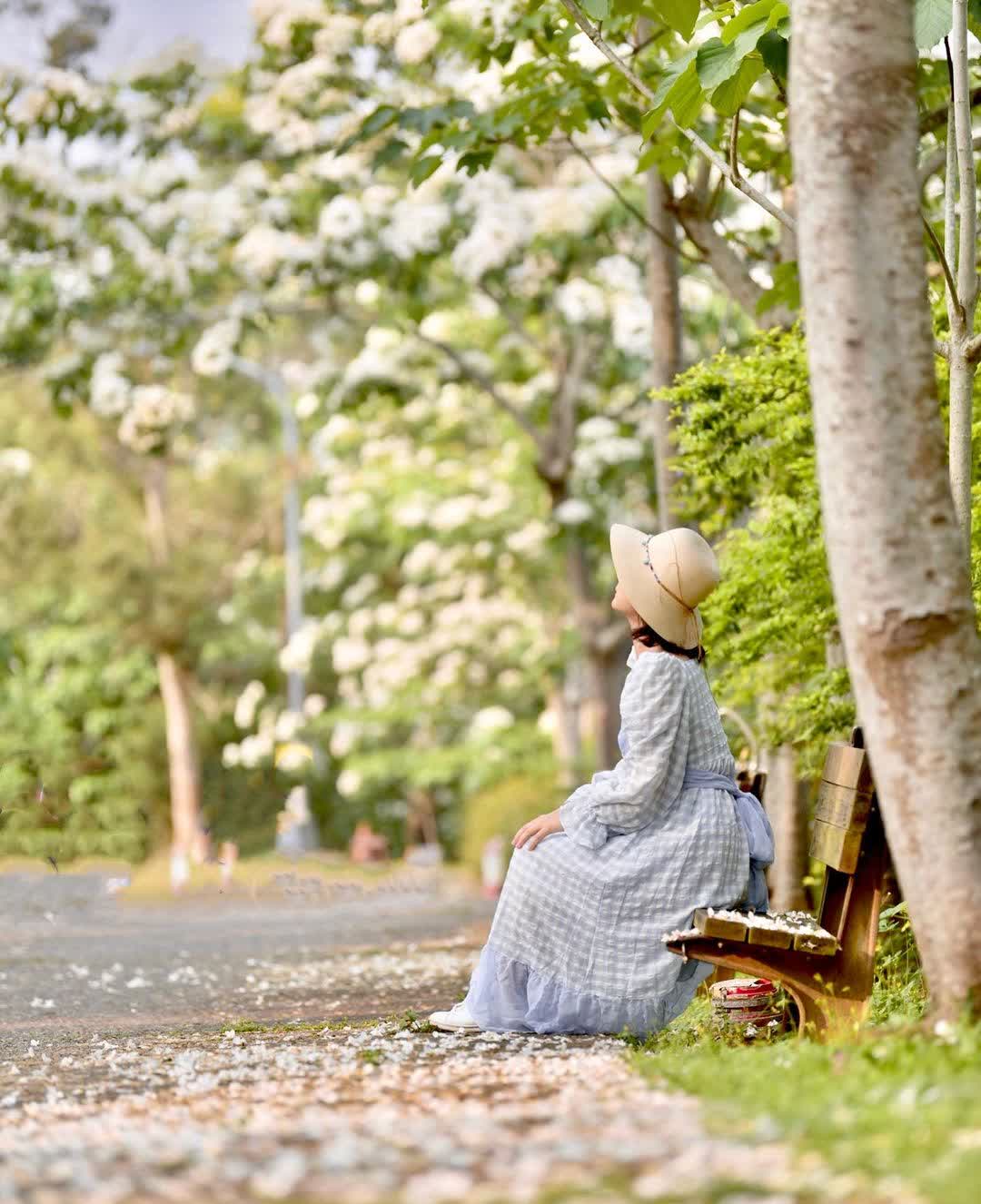 姜太公中部道場-客家大院 | 去趣 chicTrip