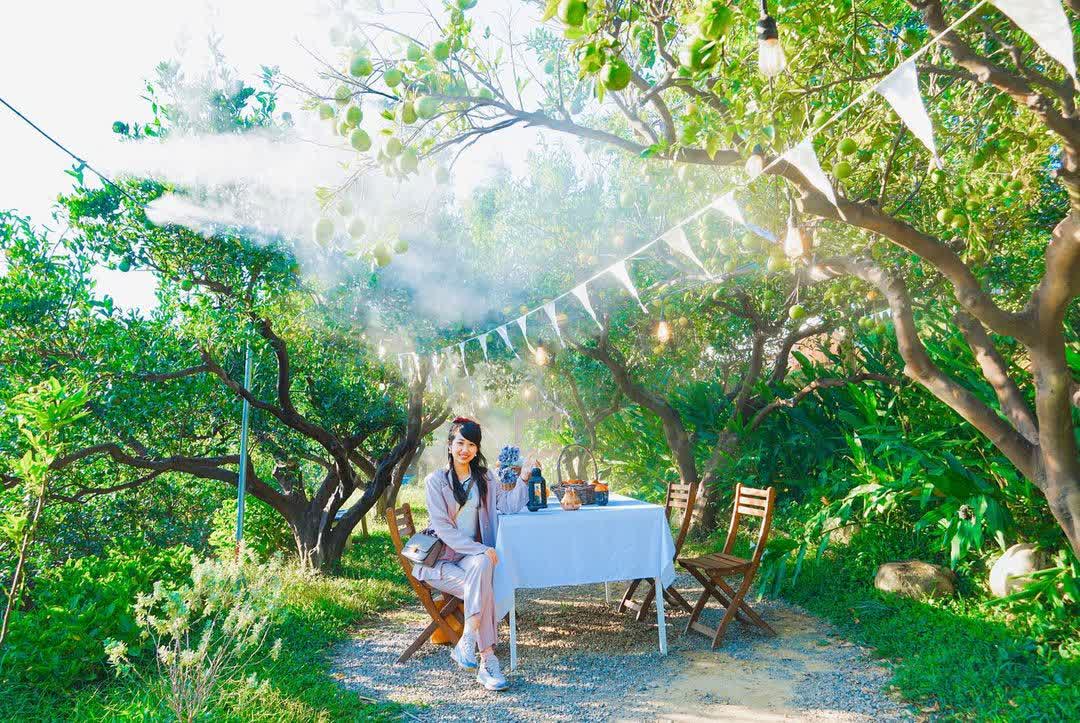 橙香森林 | 去趣 chicTrip