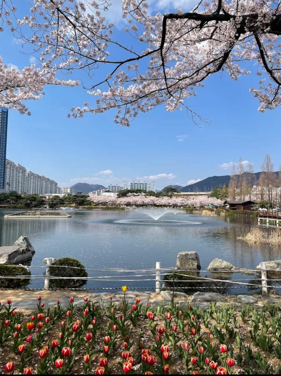 蓮池公園 | 去趣 chicTrip