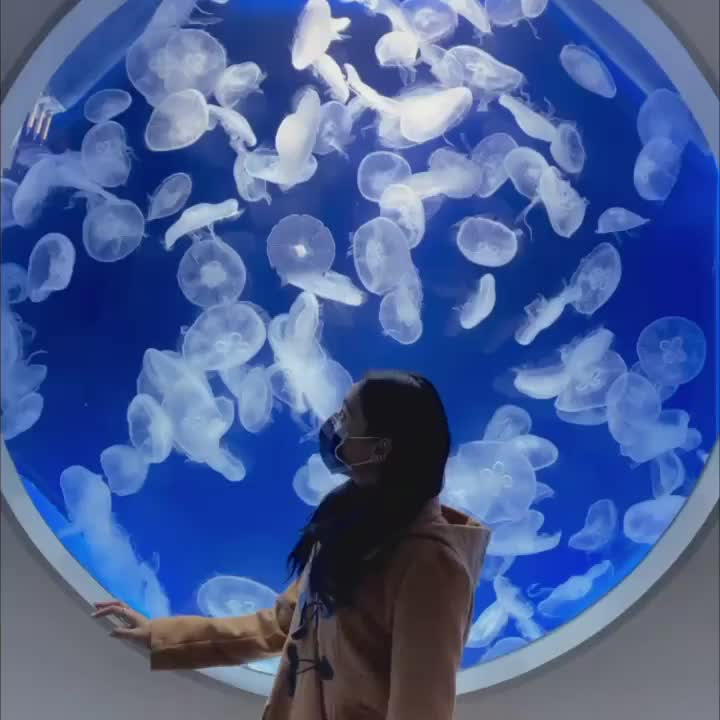 Xpark 水族館 | 去趣 chicTrip