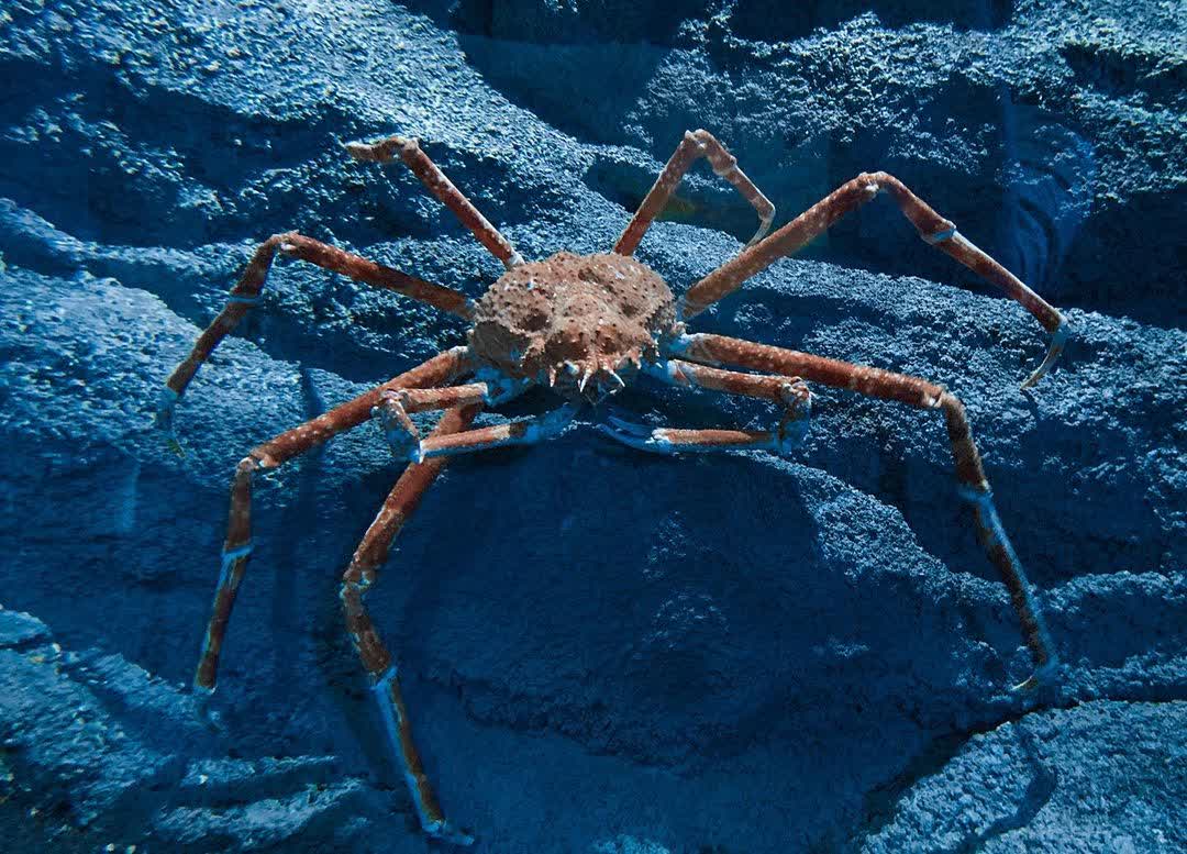 Xpark 水族館 | 去趣 chicTrip