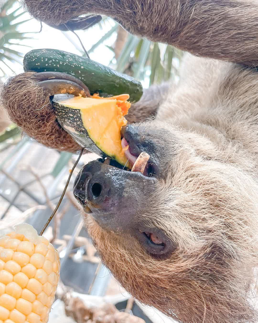 綠世界生態農場 | 去趣 chicTrip