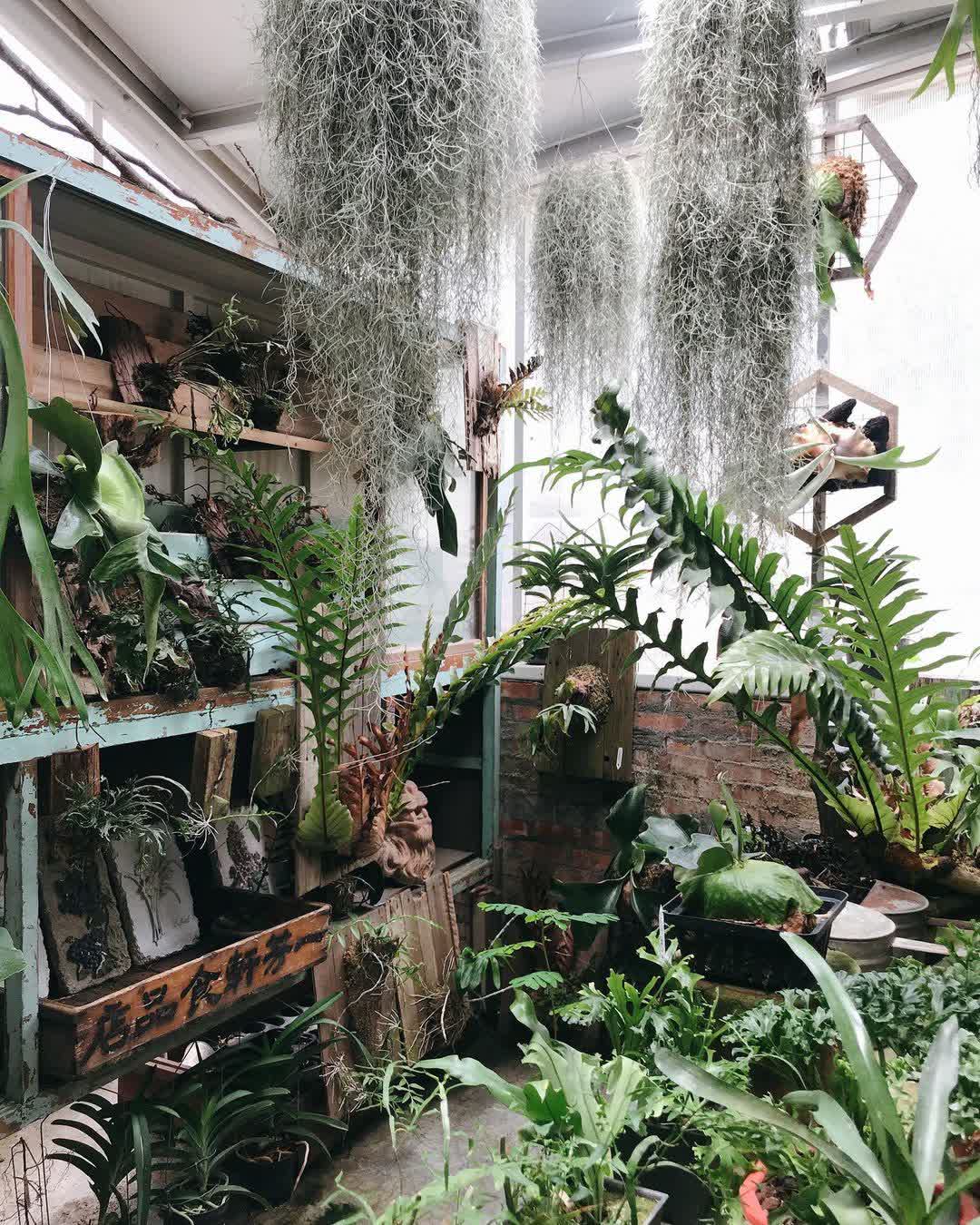 空氣圖書館 AIR LIBRARY | 去趣 chicTrip