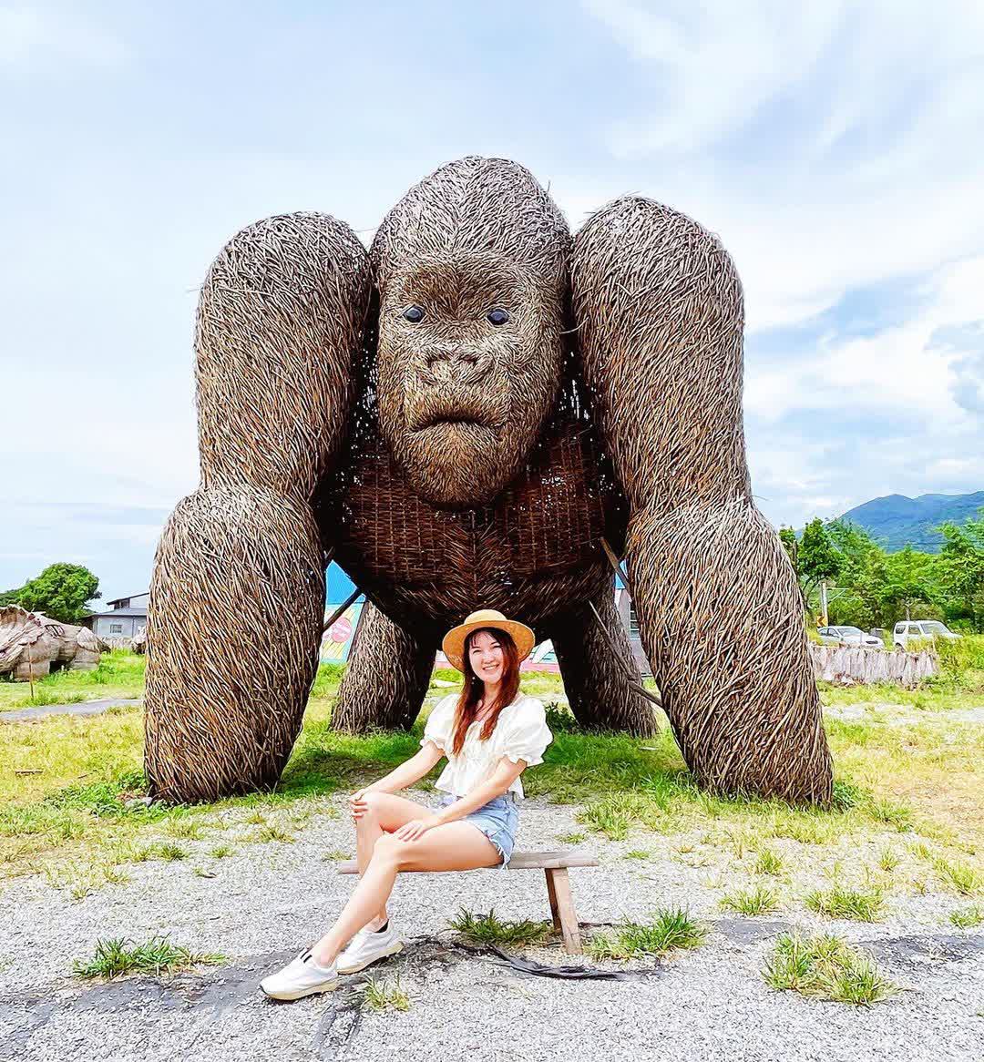 富里花海景觀區  (花蓮縣富里鄉農會旁) | 去趣 chicTrip
