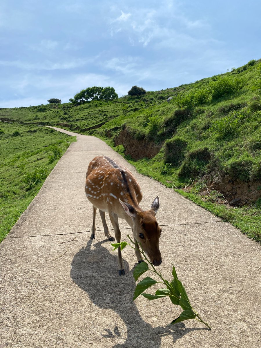 大坵島 | 去趣 chicTrip