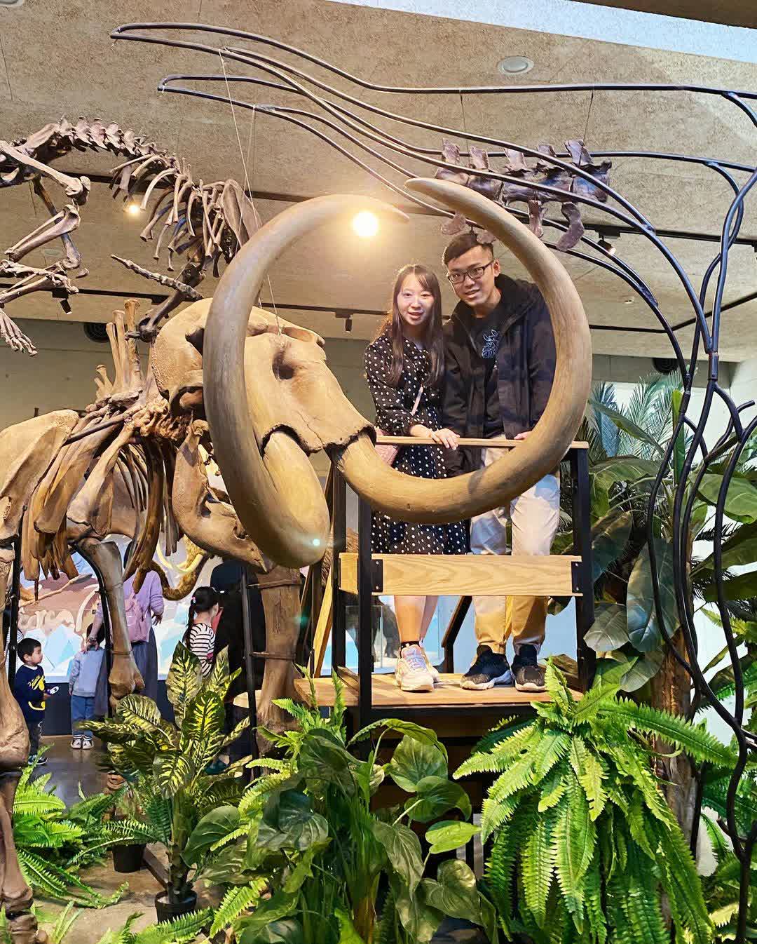 臺南左鎮化石園區(16:00截止售票、17:00閉館) | 去趣 chicTrip