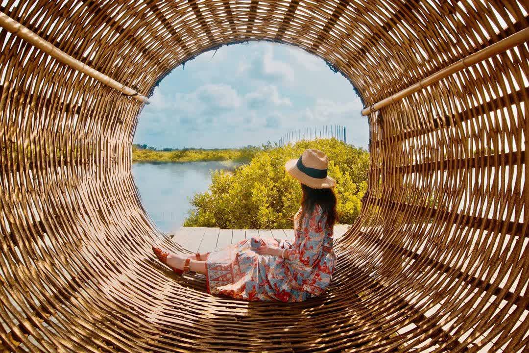 成龍溼地 | 去趣 chicTrip