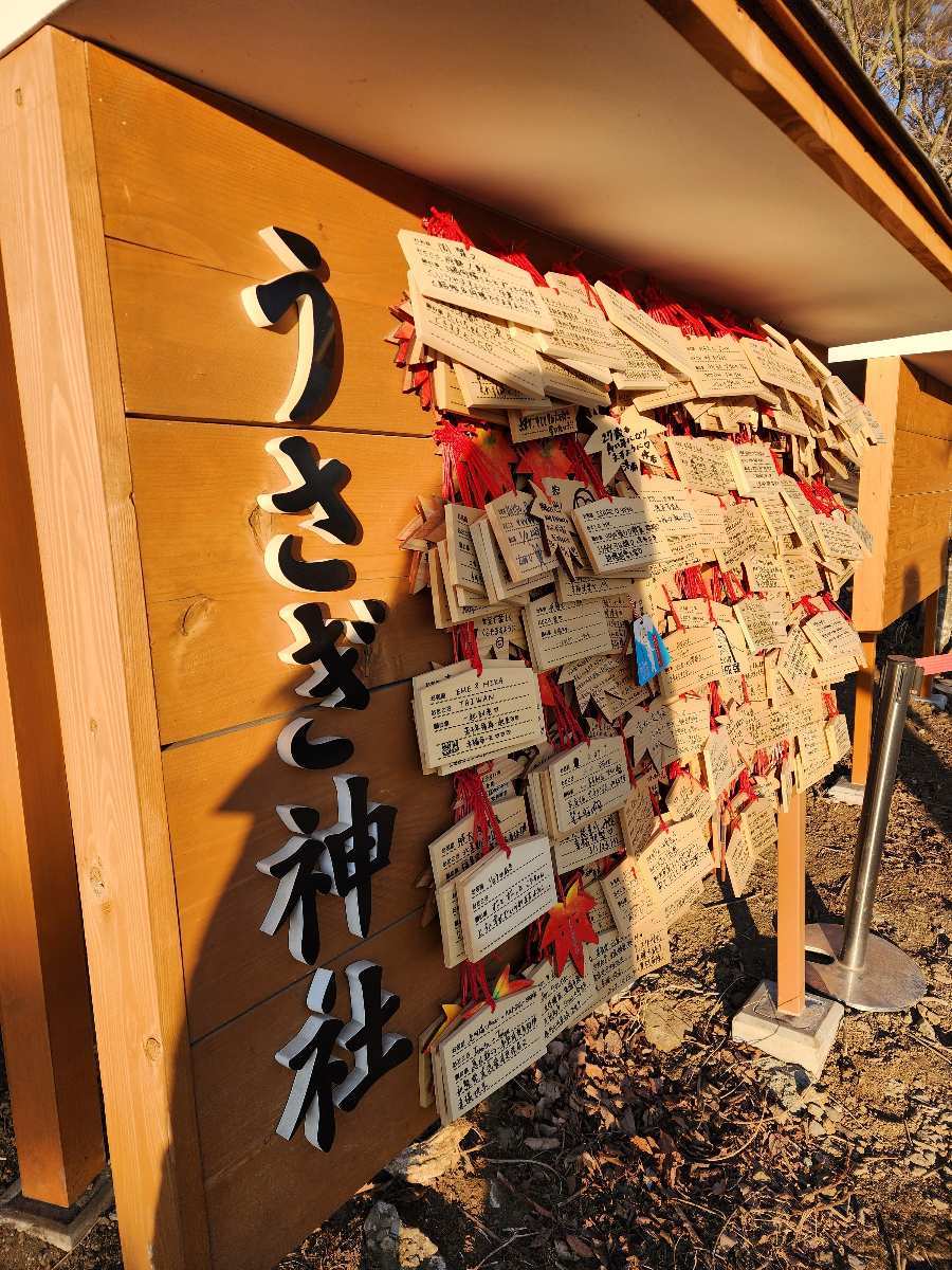 河口湖天上山公園 | 去趣 chicTrip