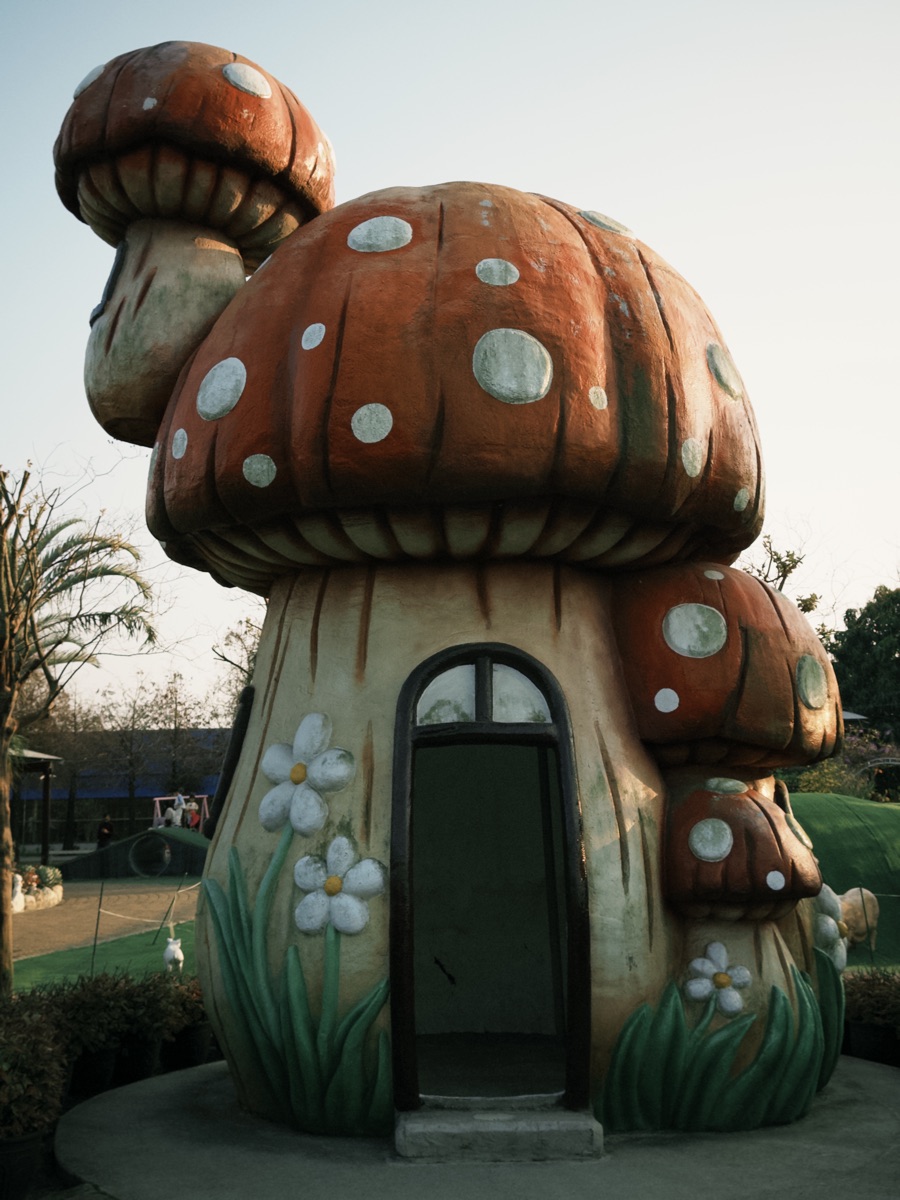 三隻小豬觀光農場 | 去趣 chicTrip