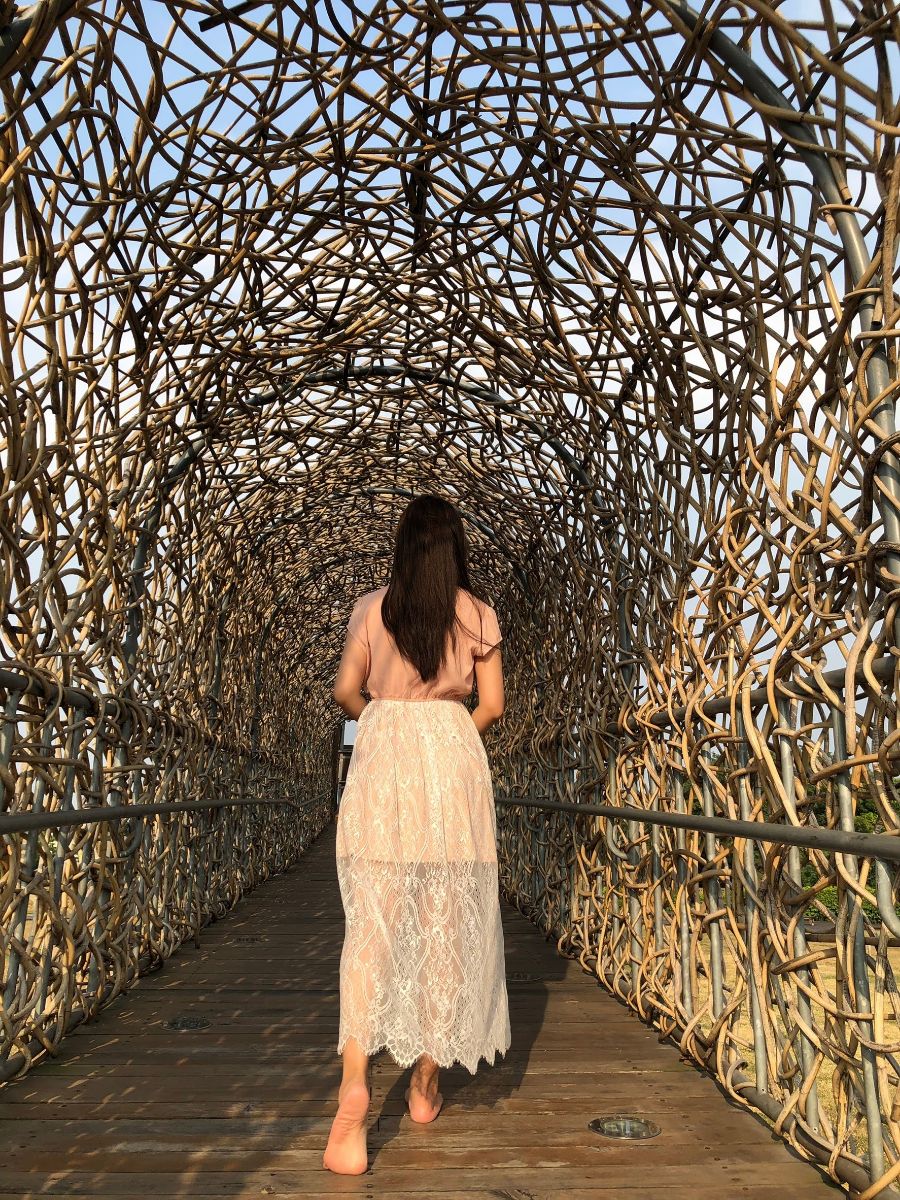 森林之歌 | 去趣 chicTrip