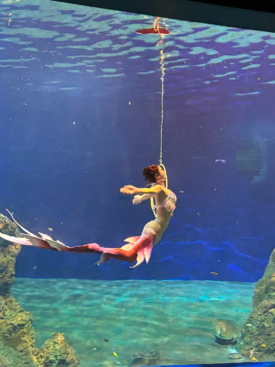 遠雄海洋公園 | 去趣 chicTrip